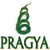 Pragaya Project.png