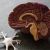 Essential Oils Promote Neuroplasticity Confirmed &ndash; a Groundbreaking Study on Essential Oils and Gray Matter Volume